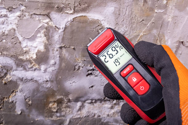 Best Crawl Space Mold Remediation in Northwood, IA